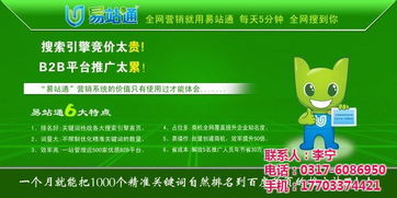 构建高效信息平台 深度解析信息易站通与和兴网络的在线咨询服务