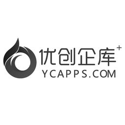 关于大连优创网络信息技术有限责任公司网络信息技术咨询的专业分析