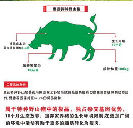 惠远肉行 健康路上的幸福滋味